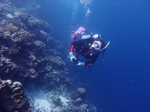 P2072062 (640x480)