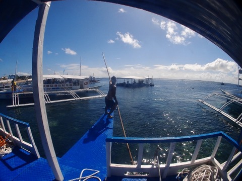P2188247 (640x480)