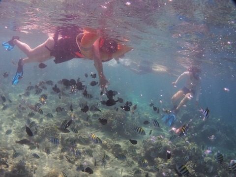 PB210089 (640x480)