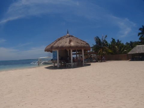 P8315663 (640x480)