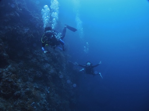 P1020426 (640x480)