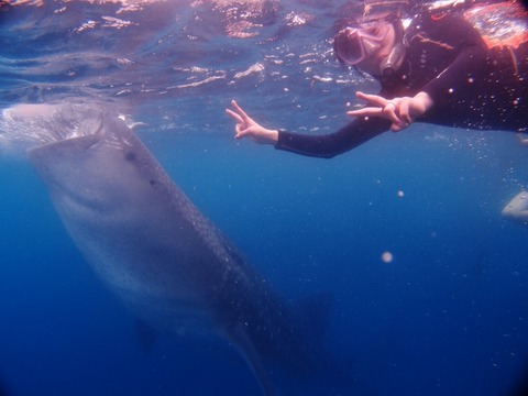 P2012716 (640x480)