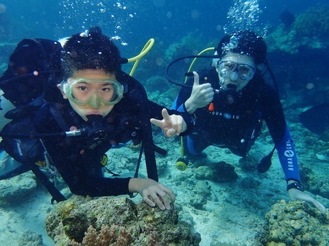 PC160093 (640x480)
