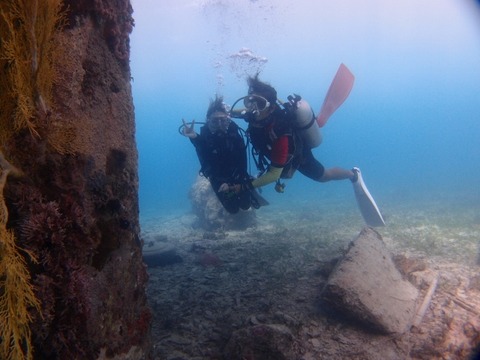 P2070819 (640x480)