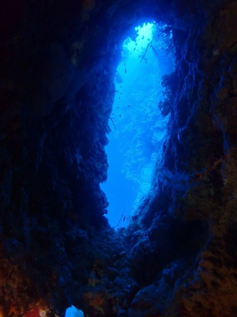 P7010010