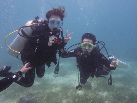 P8120143 (640x480)