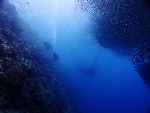 P9106055 (640x480)