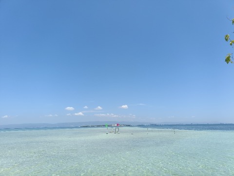 IMG20260425104533