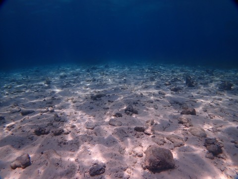 P6010002