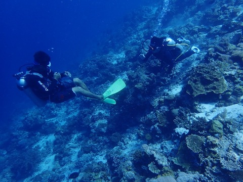 PA210046 (640x480)