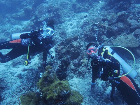 P8150130 (640x480)