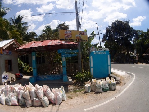 P3200394 (640x480)