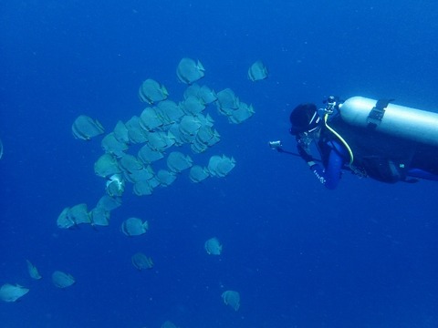 P8140209 (640x480)