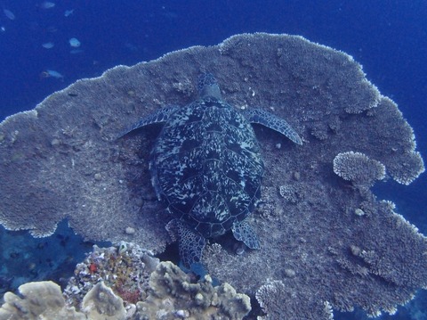 P5042446 (640x479)