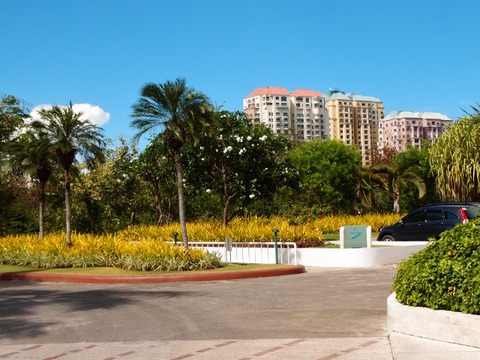 P4144749 (640x480)