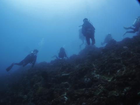 P1010047 (640x480)