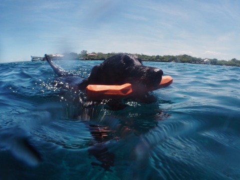 P3110087 (640x480)
