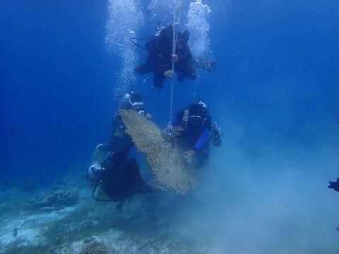 P3070058