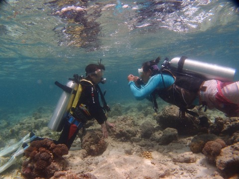 P6132744 (640x480)