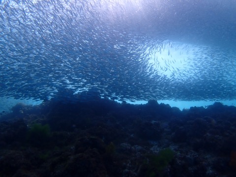 P7250056