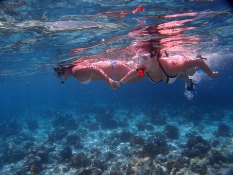 P3129233 (640x480)