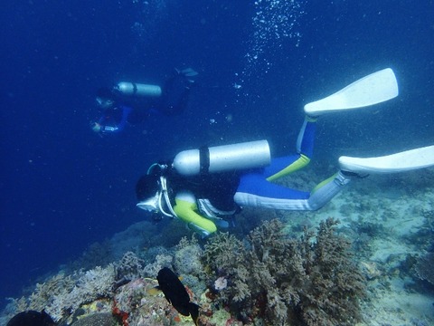 P2210044 (640x480)