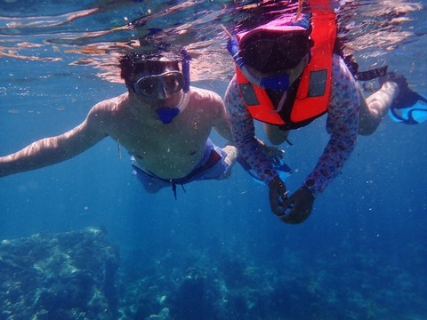P5270115 (640x480)