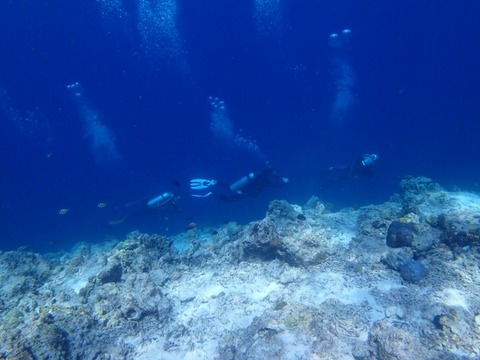 P4120029