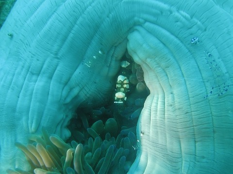 P1010039 (640x480)