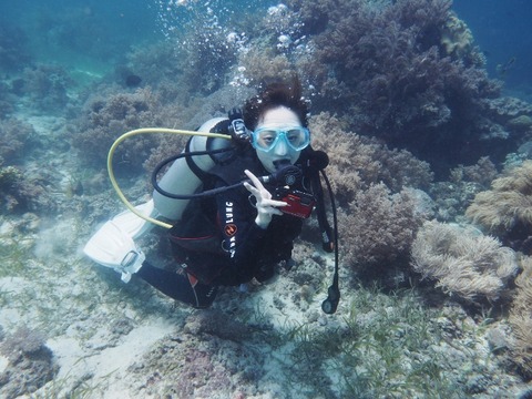 P8120044 (640x480)