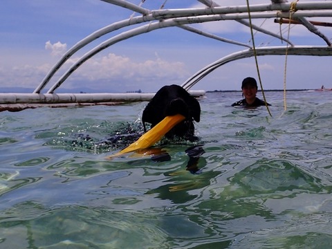 P7060252 (640x480)