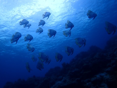 P5010020