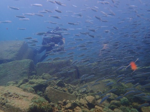 P2100118