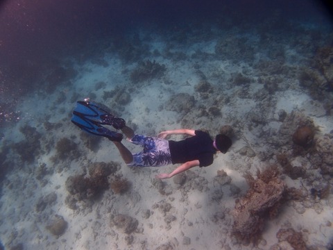 PA253358 (640x480)