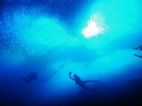 2019630-71モアルボアル_190704_0117 (640x480)