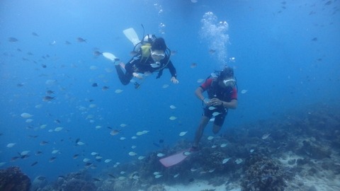 P1210027 (640x360)