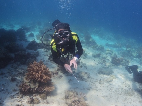P3090149 (640x480)