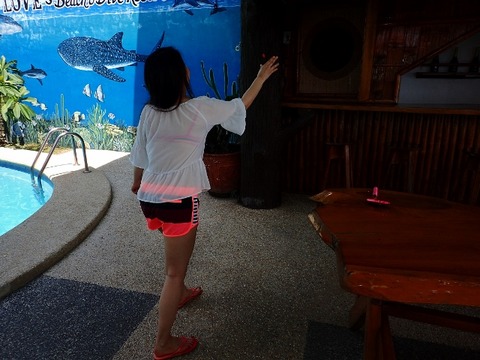 P4280329 (640x480)