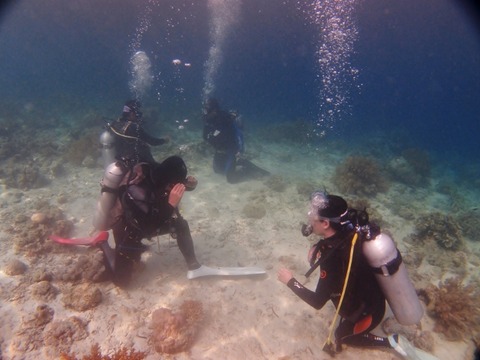 P1016271 (640x480)