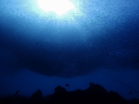 P5140086 (640x480)