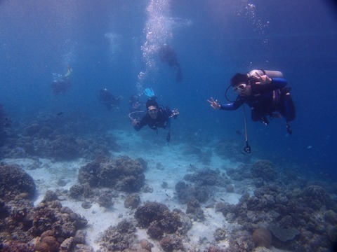 P3152155 (640x480)