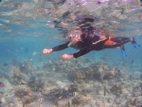 P1050090 (640x480)