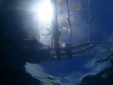 Messenger_creation_20FD8D60-66A8-4C9D-AFD2-AA5DDF9C1EA7