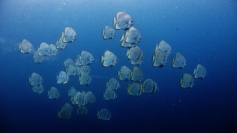 P2230180 (640x360)