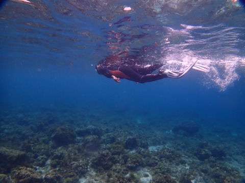 P4270008