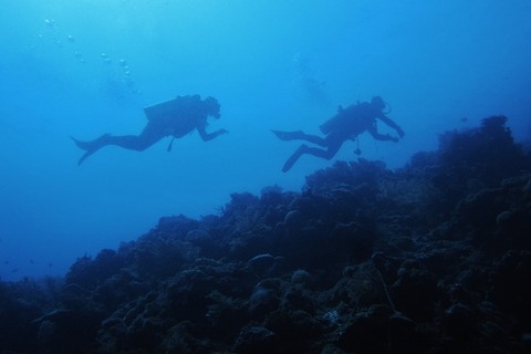 P6220039 (640x427)