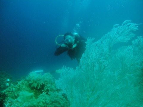 P1010018 (640x480)