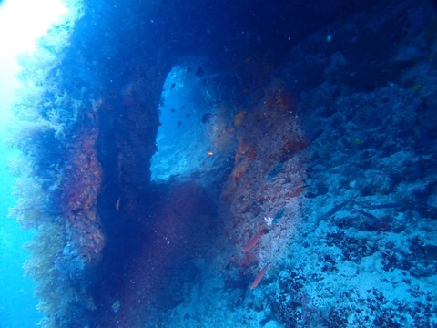 P2270009