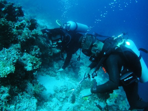 P1010025 (640x480)