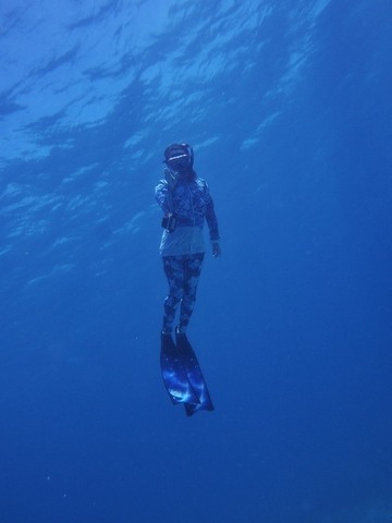 P7250146 (480x640)